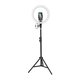 Кольцевая лампа Baseus Live Stream Holder-Floor Stand, черная, с креплением, с держателем, выдвижная, 12,0", #CRZB12-B01